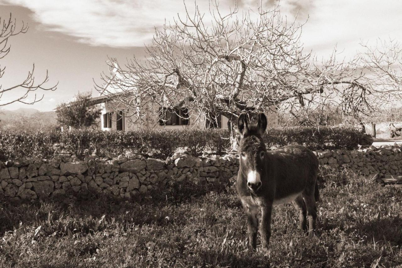 155 Finca Son Rossignol By Mallorca Charme Sineu  Luaran gambar