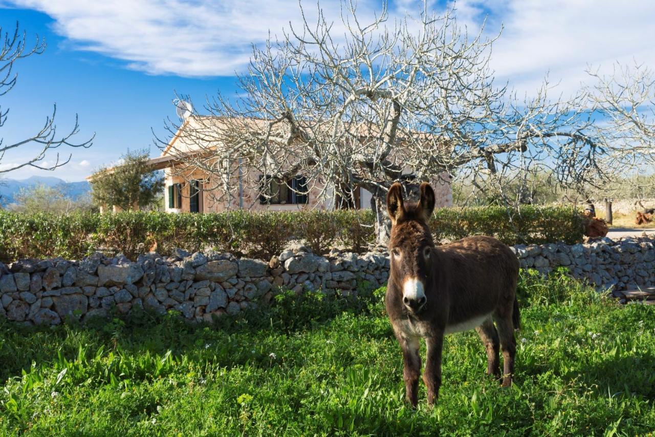 155 Finca Son Rossignol By Mallorca Charme Sineu  Luaran gambar
